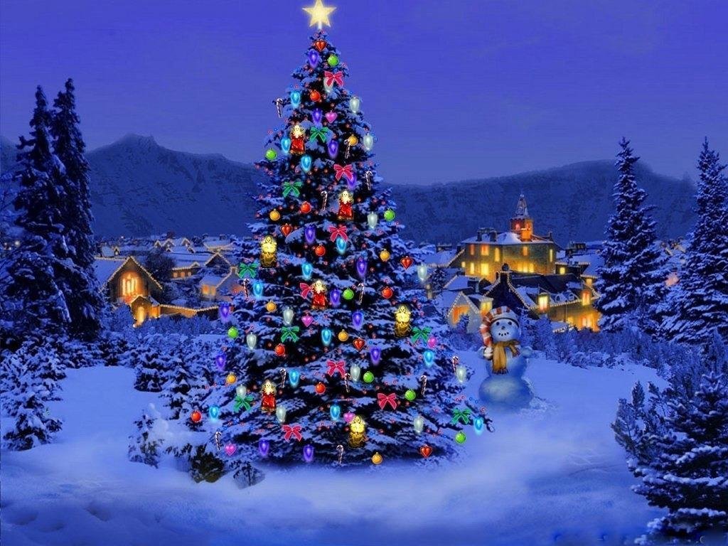 christmas tree nature1 1024x768 1024x768