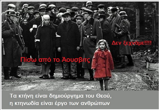 252568928 orig