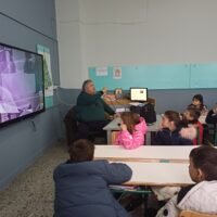 IMG 2c6267578871562b01531e174da8fe57 V